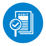 audit icon-blue2